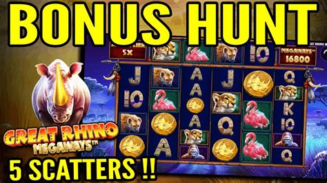 bonus hunt slots|Scatterhunt .